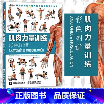 [正版]肌肉力量训练彩色图谱 肌肉锻炼指南 肌肉训练图解教程书籍 肌肉训练全书 拉伸全书 专业指导计划 减肥减脂瘦身书