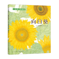 音像向日葵荒井真纪