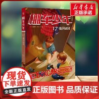 棚车少年 墙洞谜团 中英双语 钱德勒·华娜 著湖南少年儿童出版社 儿童文学小学生一年级二年级三年级课外书正版寒假暑假