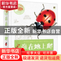 正版 身边的大自然 谁在地上爬(全彩) (德)芭贝尔·奥弗特林著
