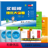 [苏教版]语文+数学+英语 三年级上 [正版]2024春实验班提优大考卷一年级二年级三四五六年级上册下册小学试卷测试卷全