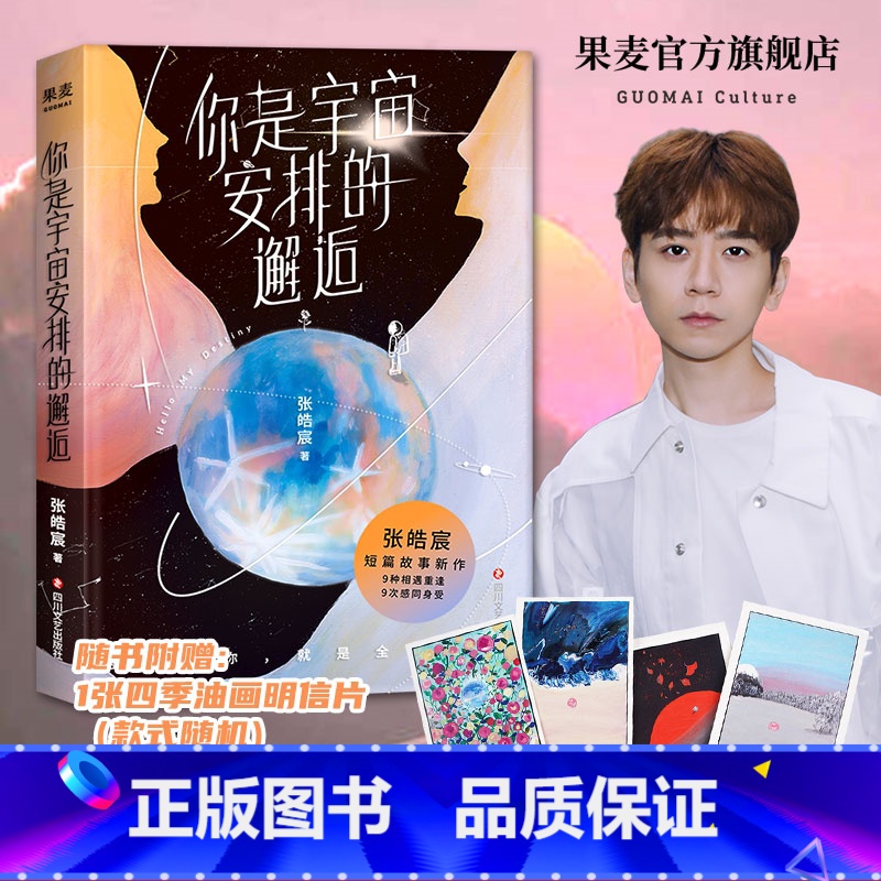 [正版]你是宇宙安排的邂逅 张皓宸 短篇故事集 9种相遇重逢 9次感同身受 短篇小说 青春文学 出品