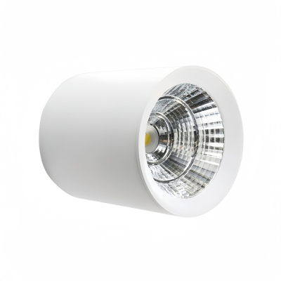 XD JX.XINGDIAN LED筒灯 XD-950A 40W 个