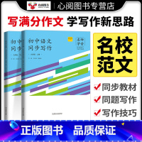 同步阅读 九年级上 [正版]名师学堂新版初中生语文同步作文写作阅读九年级上下册古诗文阶梯助学每日一文语文阅读理解与答题模