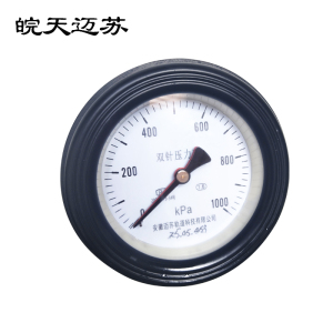 皖天迈苏双针压力表YGS-100Z 0-1000Kpa
