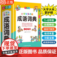 2024新版成语词典小学生专用彩图版中小学多功能大词典现代汉语新华字典近义反义词四字词语解释笔顺规范中华辞典全套工具书