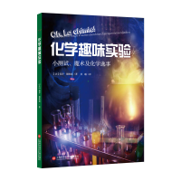 音像化学趣味实验:小测试、魔术及化学逸事[法]保罗·德鲍威 著
