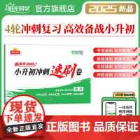 2025阳光同学小升初冲刺速刷卷冲刺小升初分类试卷真题卷语文历年真题试卷六年级小升初总复习人教版