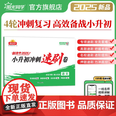 2025阳光同学小升初冲刺速刷卷冲刺小升初分类试卷真题卷语文历年真题试卷六年级小升初总复习人教版