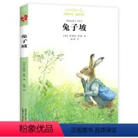 兔子坡 [正版] 柳林风声 杨静远 亲近母语经典童书阅读指导版 小学生四五六年级课外读物 学校老师阅读书籍版本 广西师范