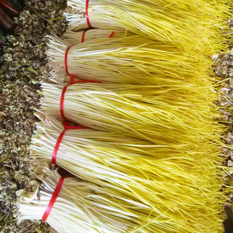 赛卡伊 山东蒜黄新鲜批发价时令青菜蔬菜大全韭黄蒜苗大蒜幼苗农家菜