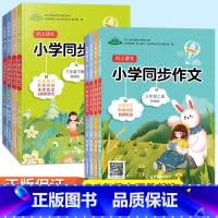 同步作文 五年级上 [正版]小学生同步作文三年级四年级五年级六年级上册下册向上语文作文专项训练作文写作技巧与指导思维导图