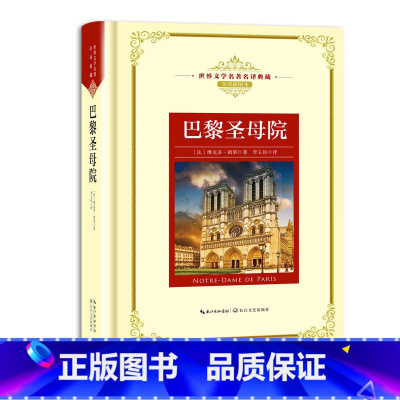 巴黎圣母院 [正版]世界文学名著名译典藏 全译插图本 大卫科波菲尔飘猎人笔记基督山伯爵现当代文学名著书籍排行榜高初中生课