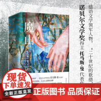 魔山 全二册“二十世纪的歌德”诺贝尔文学奖得主托马斯·曼代表作中的代表作 德国现代小说的里程碑 欧洲文学的历史地标