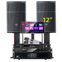 山水(SANSUI)SQ12家用电视组合功放套装唱歌商用设备音箱 SQ12专业箱+功放+效果器+美声话筒+2T点歌机