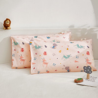 纯棉儿童枕套30×50全棉卡通小号宝宝幼儿园枕头套40x60单个春夏