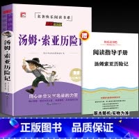 汤姆索亚历险记(带考试重点) [正版]全套4册 六年级下册必读的课外书 快乐读书啊吧6下人教版鲁滨逊漂流记 汤姆索亚历险