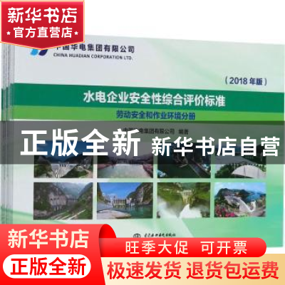 正版 水电企业安全性综合评价标准:2018年版 王辉主编 中国水利水