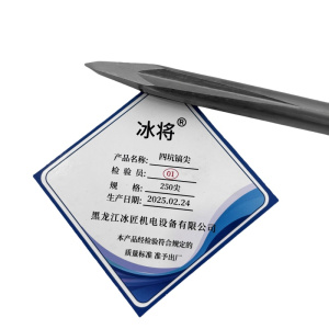 冰将 电锤尖扁凿四坑镐尖工具冲击钻头 个