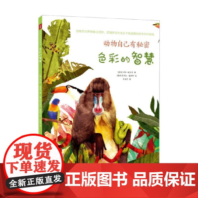 动物自己有秘密 色彩的智慧 瓦尔特·福加托 著 儿童文学