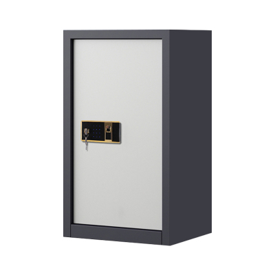 利特莱依指纹电子保密柜钢制密码文件柜档案柜矮柜保密资料柜办公柜 单门灰白钥匙指纹