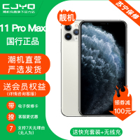 [99新]Apple iPhone 11 Pro Max银白色 256GB二手苹果11 国行正品 双卡全网通 二手手机