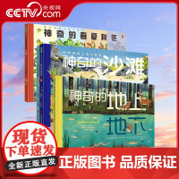 [央视网]神奇的春夏秋冬+地上地下+黄昏黎明+沙滩海洋全套儿童绘本早教书籍故事书早教书图书幼小衔接儿童书籍幼儿园绘本绘本