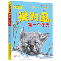 音像狼的国1:个冬天凌岚