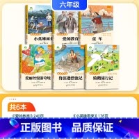 [推荐阅读]快乐读书吧上册+下册 [正版]六年级下册字帖语文同步练字帖小学生人教版练字生字笔顺六年级上册每日一练寒假作业