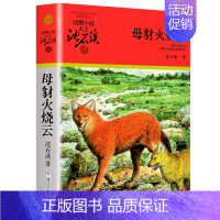 母豺火烧云 [正版]沈石溪动物小说品藏书系列全集36册狼王梦斑羚飞渡后一头战象雪豹悲歌混血豺王第七条猎狗十大经典阅读必书