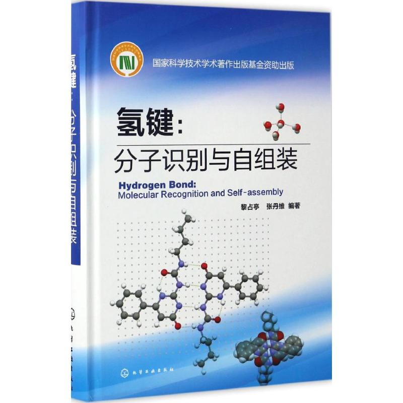 音像氢键黎占亭,张丹维 编著