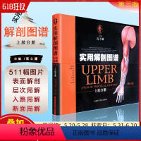 [正版] 实用解剖图谱上肢分册第三版 主编高士濂 骨科学临床案例诊治教程 上海科学技术出版社9787547812310