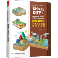 音像海绵城市+水环境治理的可持续实践正和恒基