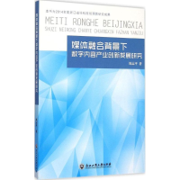[M]媒体融合背景下数字内容产业创新发展研究-9787517813019