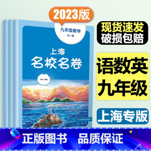 9年级全一册[套装3本]语数英 大字版 初中通用 [正版]2024春季上海名校名卷六年级七八九上册下册数学语文英语物理化