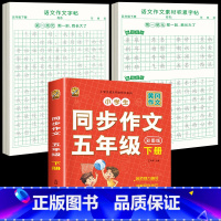 [五下3本]同步作文+同步作文字帖+素材积累字帖 [正版]五年级下册同步作文语文练字帖人教版同步满分作文素材积累字帖小学