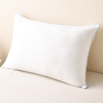 莱依瑾LYEEGIN 枕头 45*74cm 个