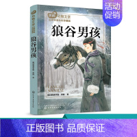 [正版]黑鹤动物文学名师导读 全彩珍藏版 狼谷男孩 中国教育报年度十大阅读推广人 沉砂 走进自然 补充精神钙质 经典
