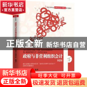 正版 政府与非营利组织会计 杨洪杨孙蕾 机械工业出版社 97871115