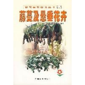 [M]藤蔓及悬垂花卉//百花盆栽图说丛书-9787503836152