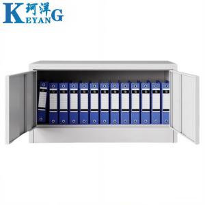 珂洋 文件柜 单节 台