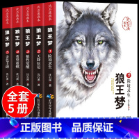 [抖音同款]沈石溪狼王梦画本5册 [正版]抖音同款狼王梦沈石溪全套5册 漫画版画本动物小说全集大王三年级四五六年级下册阅