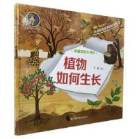 正版新书]植物如何生长王晶9787557879884