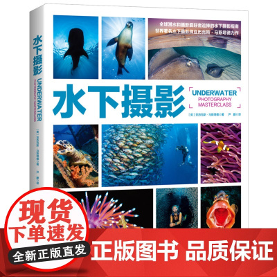水下摄影(世界水下摄影师Alex Mustard力作;史上超实用水下摄影指南,深受全球潜水、摄影爱好者追捧)