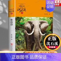 象母怨 [正版]象母怨 沈石溪动物小说品藏书系升级版 小学生课外阅读书籍6-12岁青少年版儿童文学三四五六年级阅读儿童文