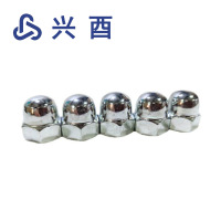 兴酉 不锈钢盖型螺母 M20 个