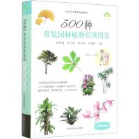 音像500种常见园林植物识别图鉴 彩图典藏版作者