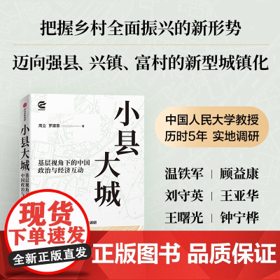 小县大城 基层视角下的基层政治与经济互动 罗建章等著 透过县城 读懂中国 中国经济