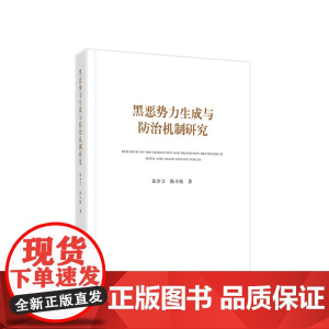 黑恶势力生成与防治机制研究 张步文 陈小彪著 人民出版社