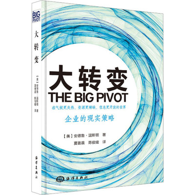 正版 大转变:企业的现实策略 企业管理运营书籍 现代社会企业可持续发展盈利目标策略研究 企业长期成功计划_963